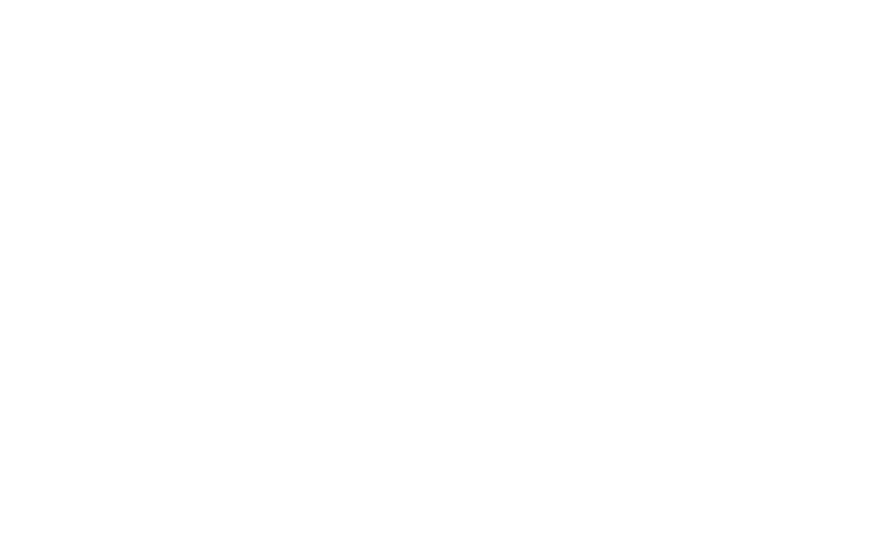 Hotel Pauw